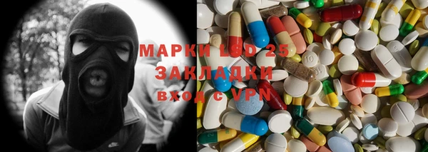 прущие грибы Волосово