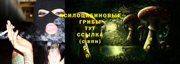 прущие грибы Волосово