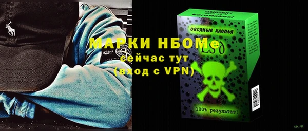 прущие грибы Волосово